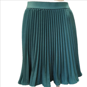 NWT'S KATE KASIN SKIRT